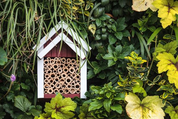 Новый садовый тренд - домики для насекомых