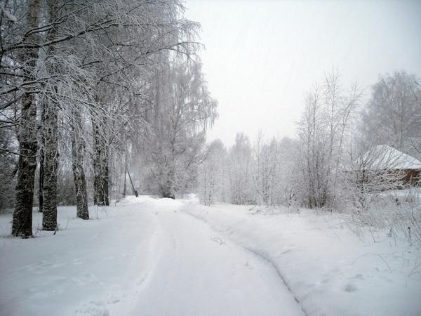 К утру совсем заметет...