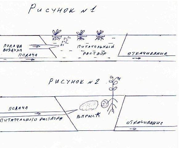 схема гидропоники