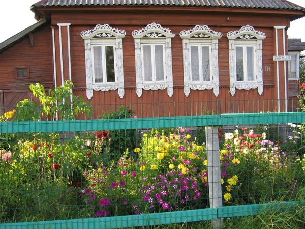 Пестрый палисадник
