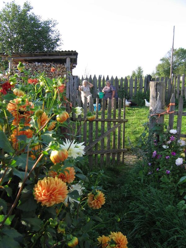 Просьба сфотографировать цветы открывает и калитки, и сердца
