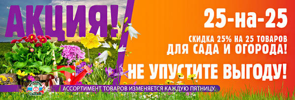 Еженедельная акция от СеДек