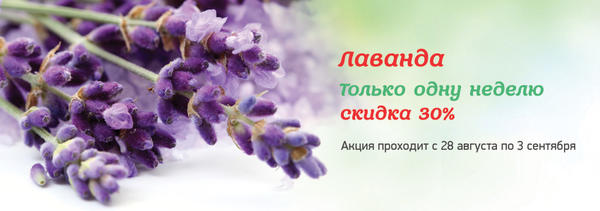 Акция в магазине Все сорта