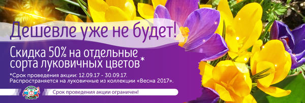 Луковичные от СеДек - дешевле уже не будет!