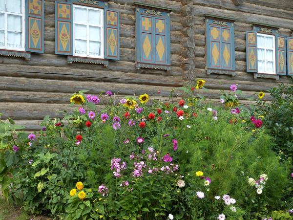 Какие растения создают русский сад?
