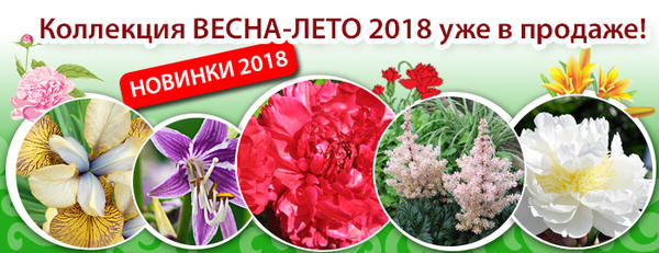 Коллекция Весна-лето 2018 от Русского Огорода