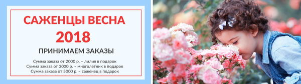 Интернет-магазин Агрофирмы Поиск дарит подарки своим клиентам