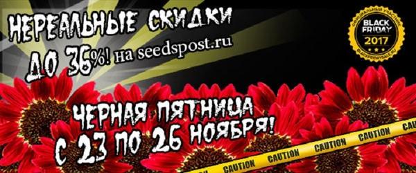 Черная пятница в интернет-магазине Seedspost