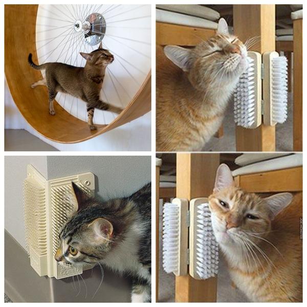 Подарки, которые порадуют усатых-полосатых
