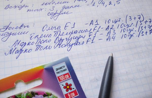 Процесс фиксирую в своем журнале