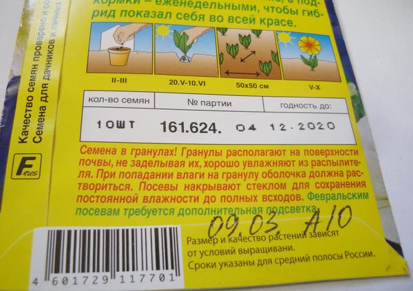 Петуния Марко Поло лимонно-синяя F1. Посев 09.03, код А10