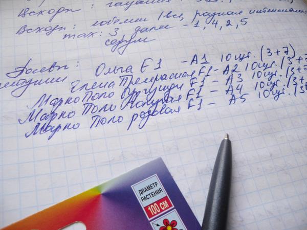 Процесс фиксирую в своем журнале