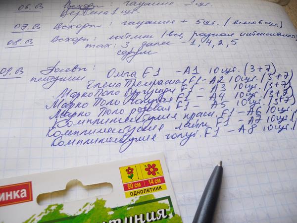 Процесс фиксирую в своем журнале
