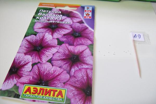 Семена в гранулах, 11 шт.