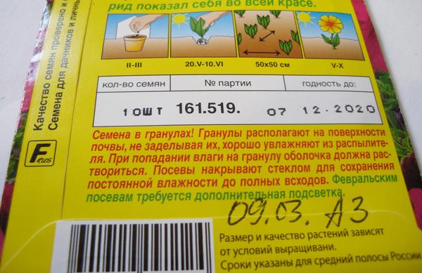 Петуния Марко Поло бургунди F1. Посев 09.03, код А3