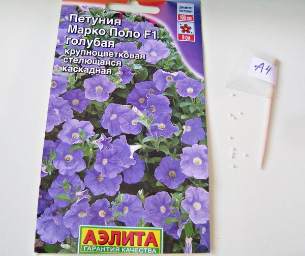 Семена в гранулах, 10 шт.