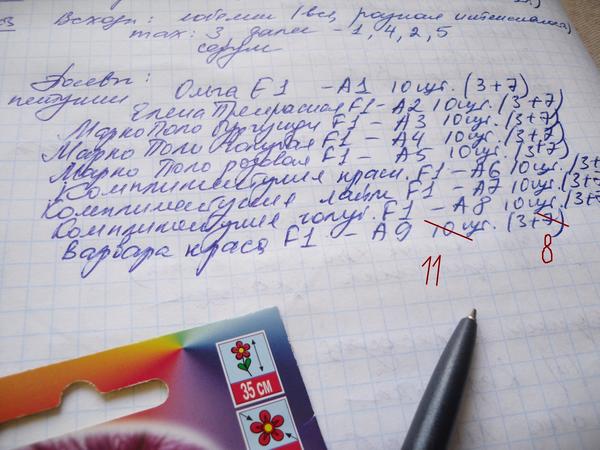 Процесс фиксирую в своем журнале