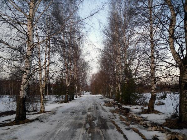 28 февраля. Неожиданно ранняя весна
