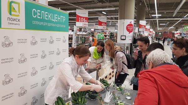 Дегустация огурца в гипермаркете АШАН