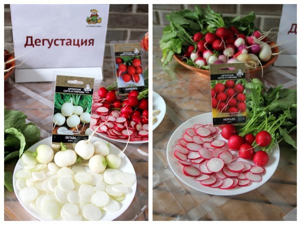 На марафоне можно узнать о новинках и попробовать сорта на вкус