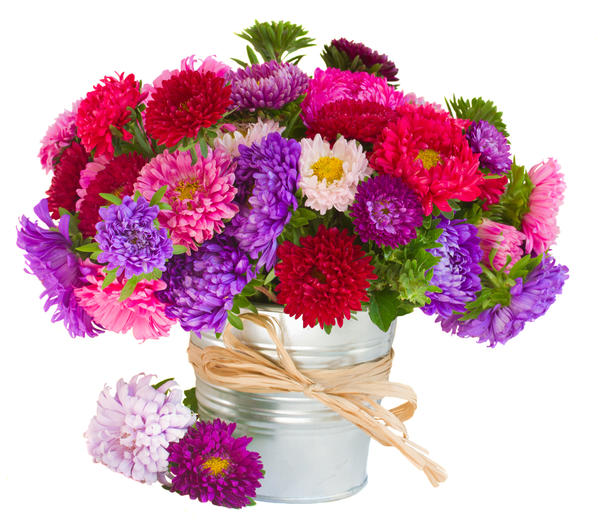 Букет из дачных цветов к 1 сентября: какие цветы выбрать и как сохранить ихсвежими