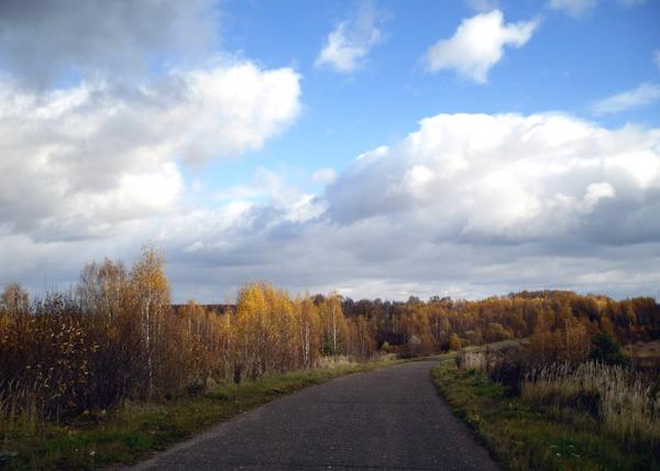 Дорога у каждого своя. Фото автора