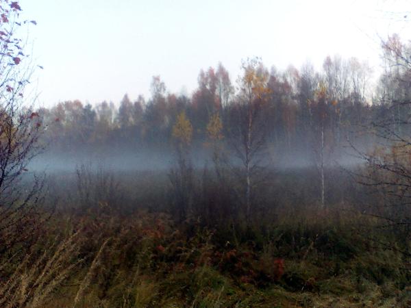 Туманная граница