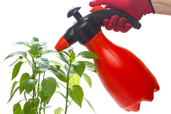 Средства для защиты растений до 1 января 2019 г можно приобрести со скидкой