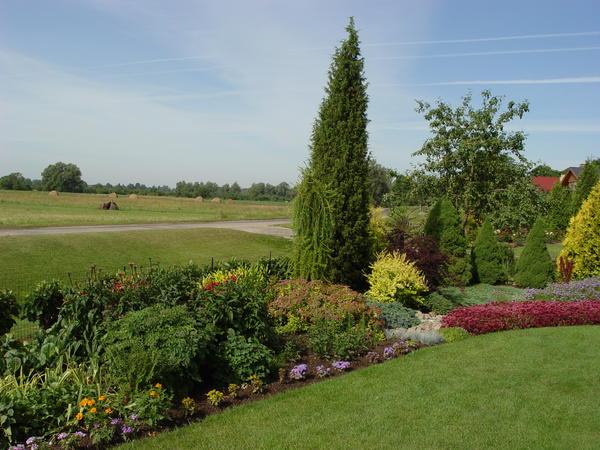 Древесные и кустарниковые растения саду необходимы, особенно если участок расположен на открытом пространстве