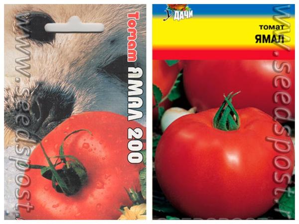 Сверхранние томаты: 5 сортов с фото, отзывами, описанием