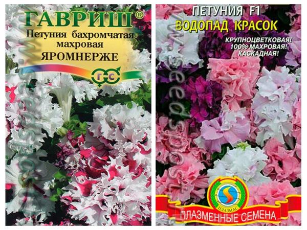 Фриллитуния 'Яромнерже' и петуния 'Водопад красок' F1, фото с сайта seedspost.ru
