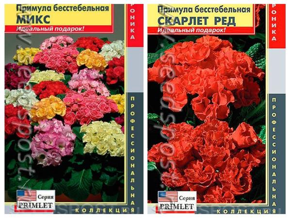 Примула бесстебельная махровая 'Примлет Микс' и 'Примлет Скарлет Ред' от компании "Плазмас", фото с сайта seedspost.ru