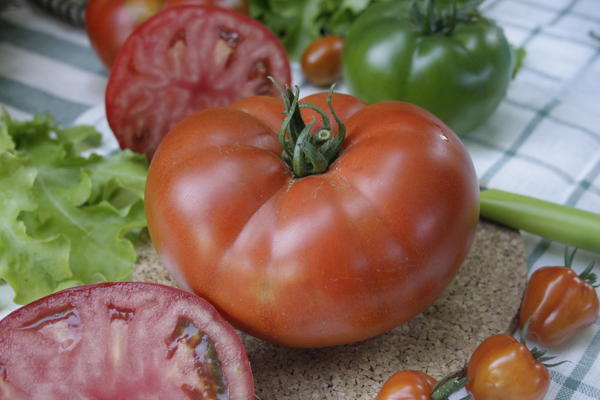 Великие томаты: сочетание лучших свойств сортов и гибридов. Томат &amp;amp;#39;Александр Великий&amp;amp;#39; F1