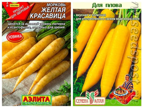 Сорта моркови разных цветов: описание, фото. Купить семена