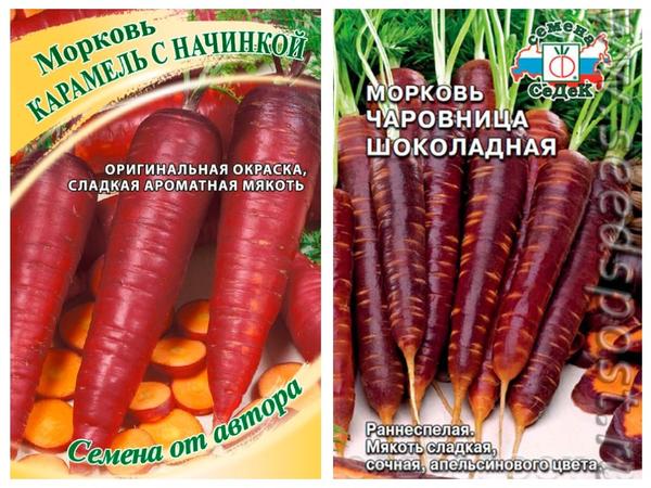 Сорта красной моркови