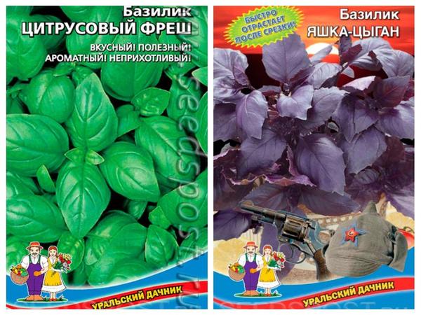 Базилик 'Цитрусовый фреш' и 'Яшка-цыган' от компании "Уральский дачник", фото с сайта seedspost.ru