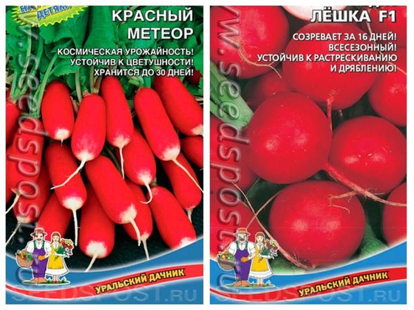Редис 'Красный метеор' и 'Лёшка' F1 от компании "Уральский дачник", фото с сайта seedspost.ru