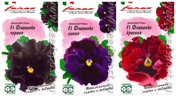 Виолы &amp;amp;amp;amp;amp;amp;#39;Фламенко&amp;amp;amp;amp;amp;amp;#39; F1 от компании "Гавриш" - яркие краски. Фото с сайта seedspost.ru