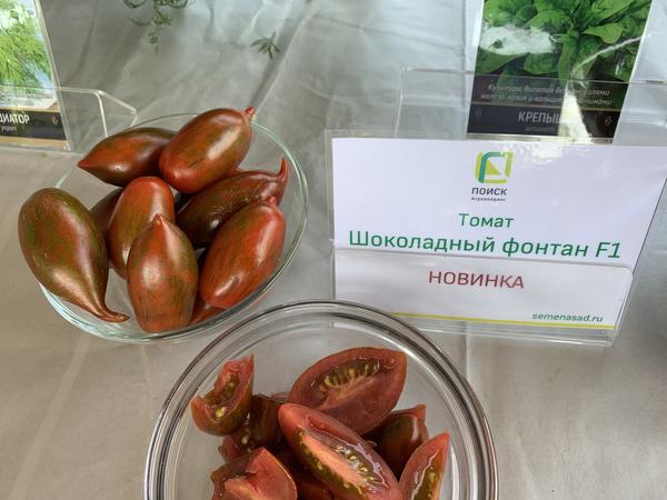 Томат Шоколадная Сливка Купить Семена