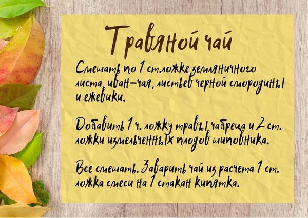 Травяной чай: согреет и укрепит иммунитет