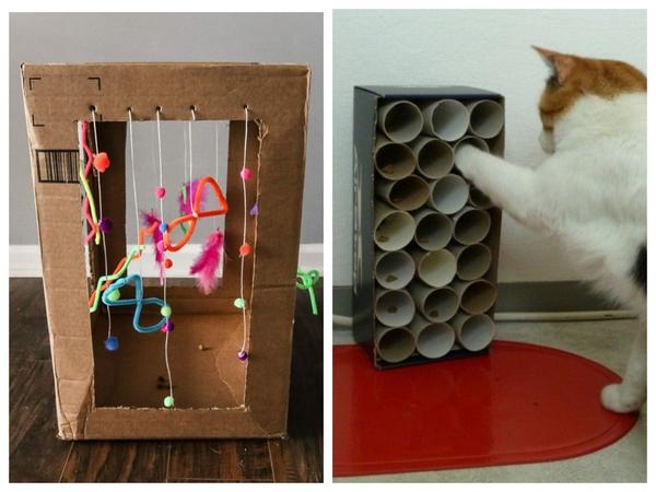 игрушки для котят из коробки