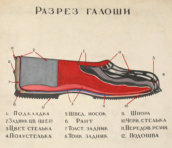 Сложное устройство галоши. Фото из открытых источников