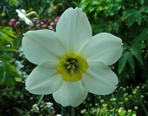 'Margaret Mitchell'