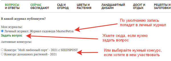 Выберите, где будет опубликована ваша запись