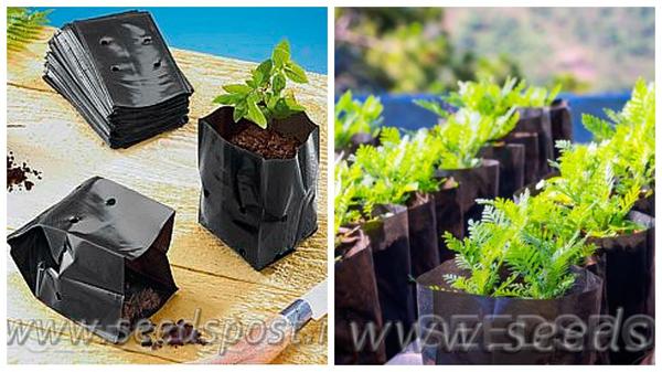 Пакеты для рассады, фото с сайта seedspost.ru