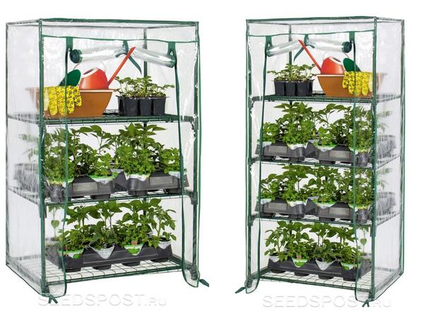 Парничок для рассады на подоконник, фото с сайта seedspost.ru