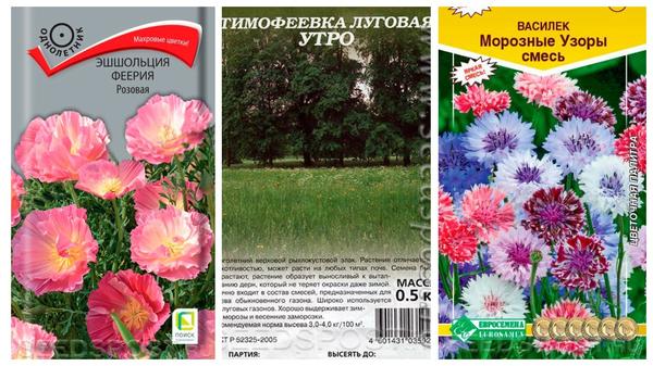 Составьте свою смесь для пестрого цветущего газона. Фото с сайта seedspost.ru