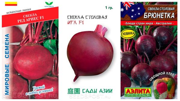 Для летних посевов свеклы выбирайте скороспелые сорта. Фото с сайта seedspost.ru