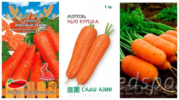Еще не поздно посеять морковку. Фото с сайта seedspost.ru