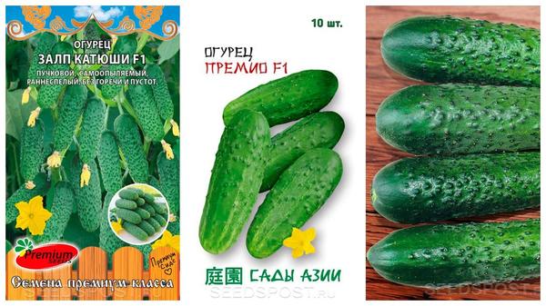 Правильные сорта - половина успеха. Фото с сайта seedspost.ru